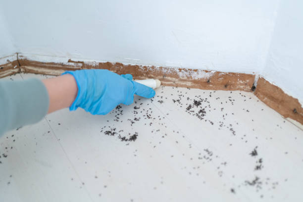 Best Termite Inspection and Treatment  in Gberts, IL